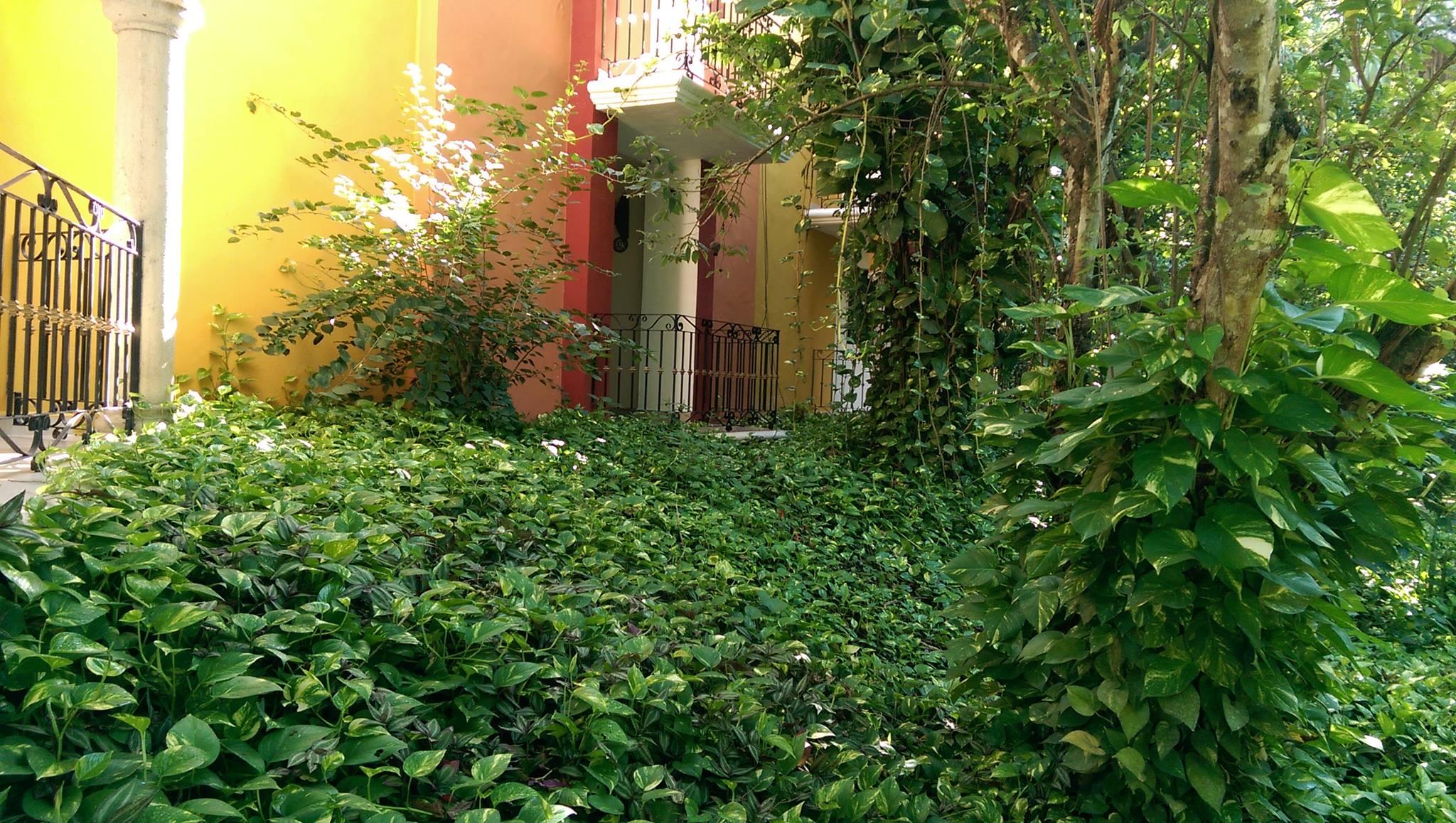 ואיאדוליד Ecotel Quinta Regia מראה חיצוני תמונה