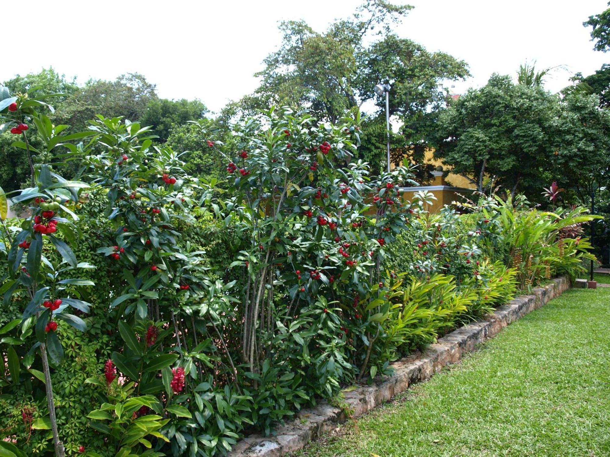 ואיאדוליד Ecotel Quinta Regia מראה חיצוני תמונה