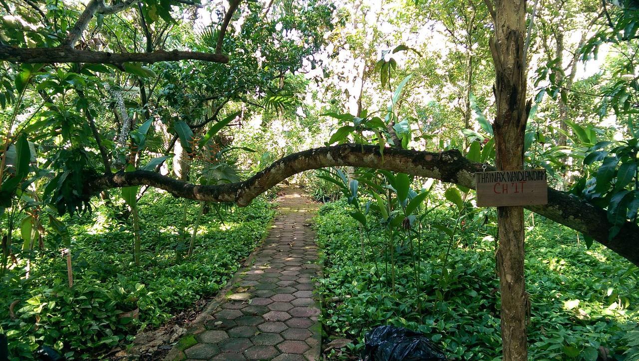 ואיאדוליד Ecotel Quinta Regia מראה חיצוני תמונה